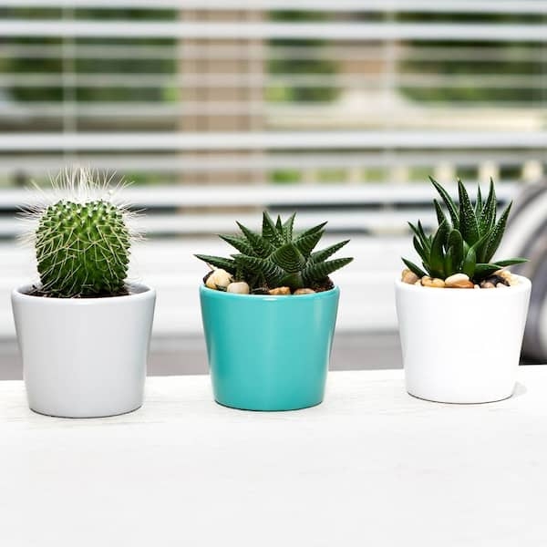 Planter Extra Small Glossy White Ceramic Round Windowsill Pot