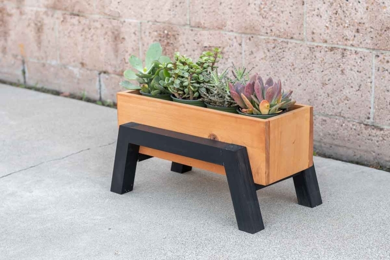 Planter Footed Base Square Light Wood Minimalist Snake Plant Ideas