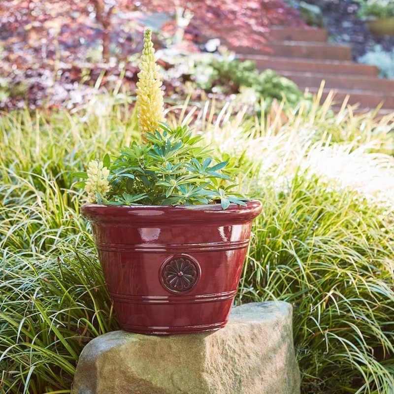 Planter Glossy Oxblood Red with Subtle Horizontal Ribbing