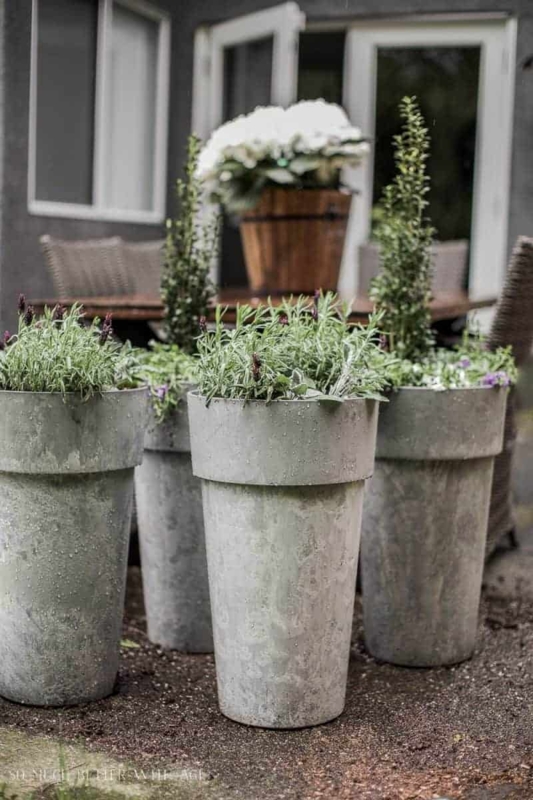 Planter Grouping Mixed Materials Galvanized Bucket Porch Ideas