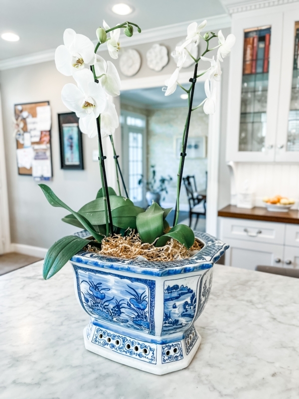 Planter Hexagonal Blue and White Chinoiserie Large