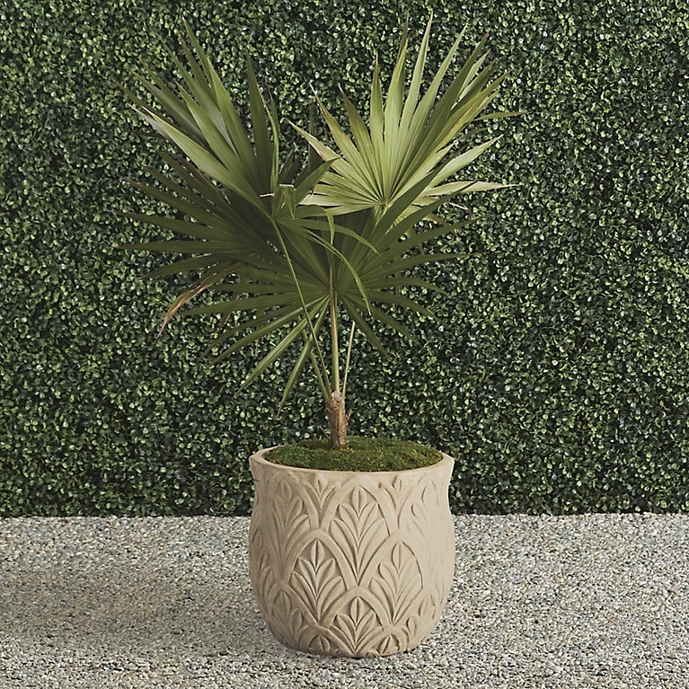Planter Large Round Terracotta with Weathered Patina and Wide Flat Rim