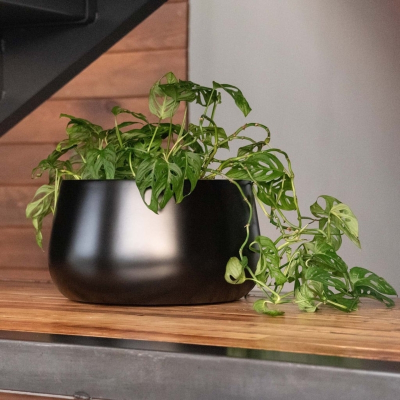 Planter Low Profile Charcoal Gray Square Tapered Outdoor Minimalist Patio