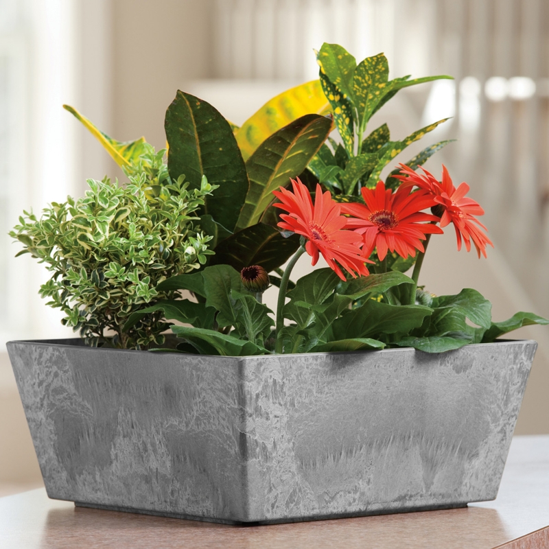 Planter Low Profile Square Stone Like Grey Matte Architectural Container