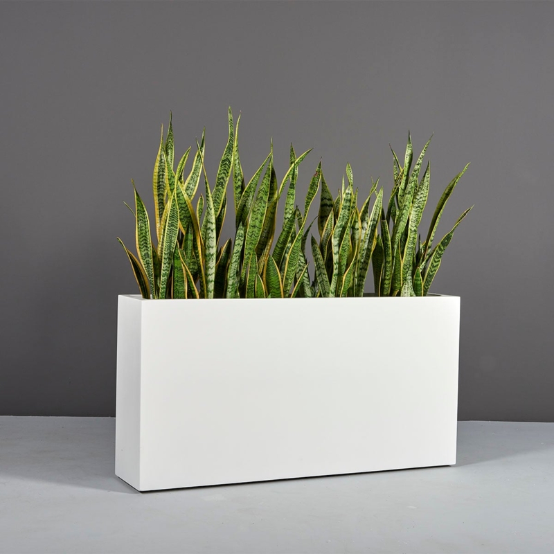 Planter Matte Black Narrow Profile Low Height Snake Plant Decor