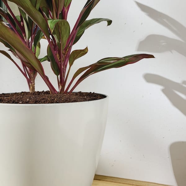 Planter Off White Resin Vertical Ribbing Matte Finish Contemporary Round
