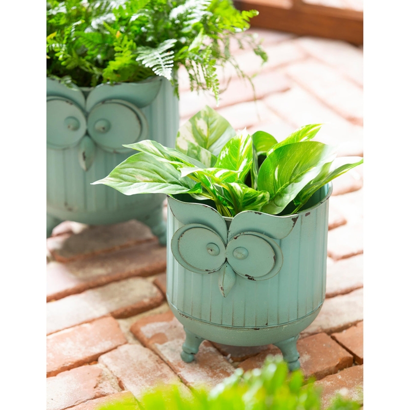 Planter Owl Silhouette Mesh Base Corrugated Metal Rustic Garden Decor