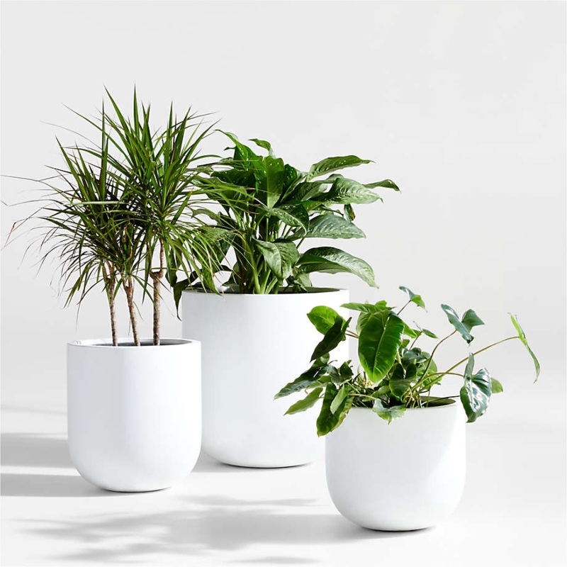 Planter Pot Low Bowl Stone Like Texture Outdoor Patio Styling