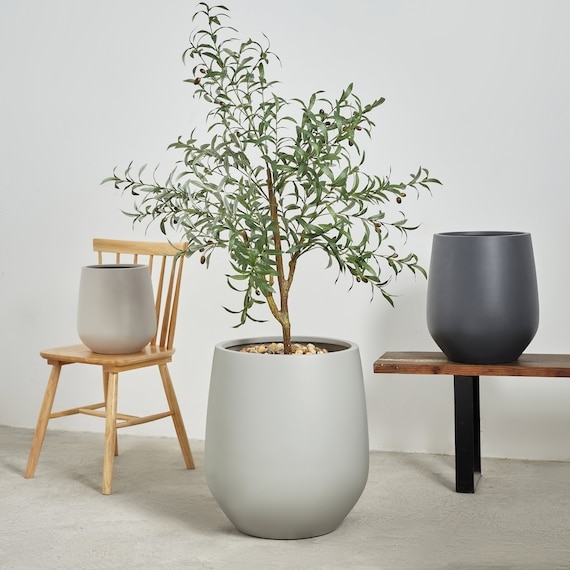 Planter Pot Oversized Round Matte White Finish Fiddle Leaf Fig