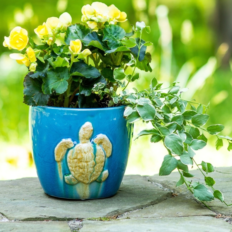 Planter Sculpted Turtle Shape Aqua Crackle Glaze Stoneware