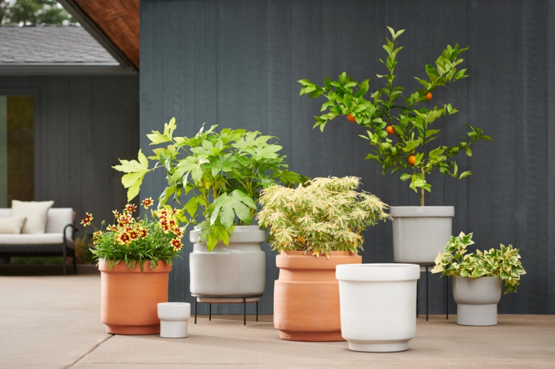 Planter Sculptural Silhouette Pitted Texture, Rustic Outdoor Planter