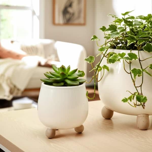 Planter Set Knobby Ceramic Planters Footed Base Boho Chic Eclectic