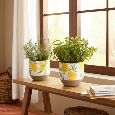 Planter Set Lemon Print Cylindrical Shape Stone Like Material