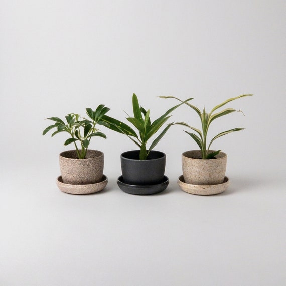 Planter Set Mini Succulent Pastel Ribbed Texture Ceramic Pots
