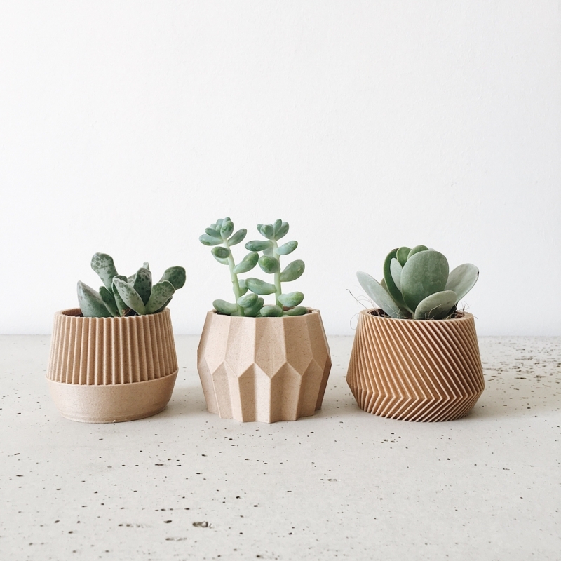 Planter Set Minimalist White Ceramic Succulent Pots Bamboo Tray