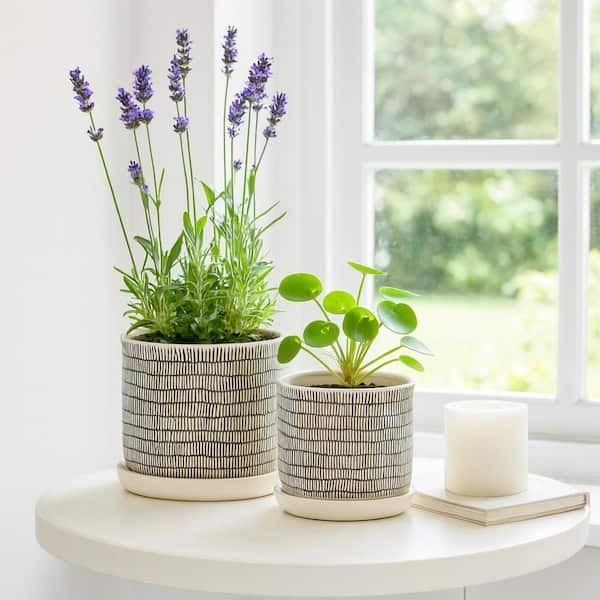 Planter Set Modern Ribbed Ceramic Planters Cylindrical with Saucer
