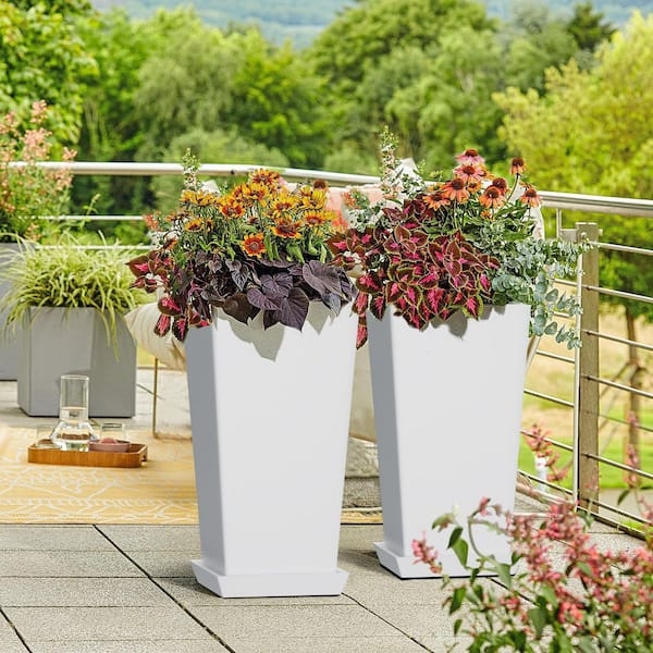 Planter Set White Smooth Tall Columnar Shape Poolside