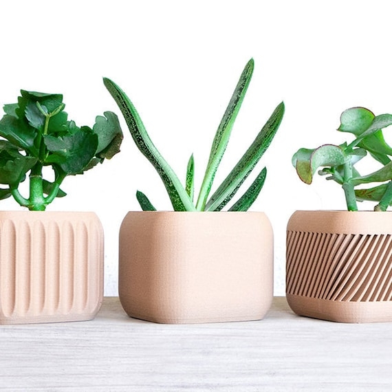 Planter Small Cylindrical Compact Size Natural Grain Finish Minimalist