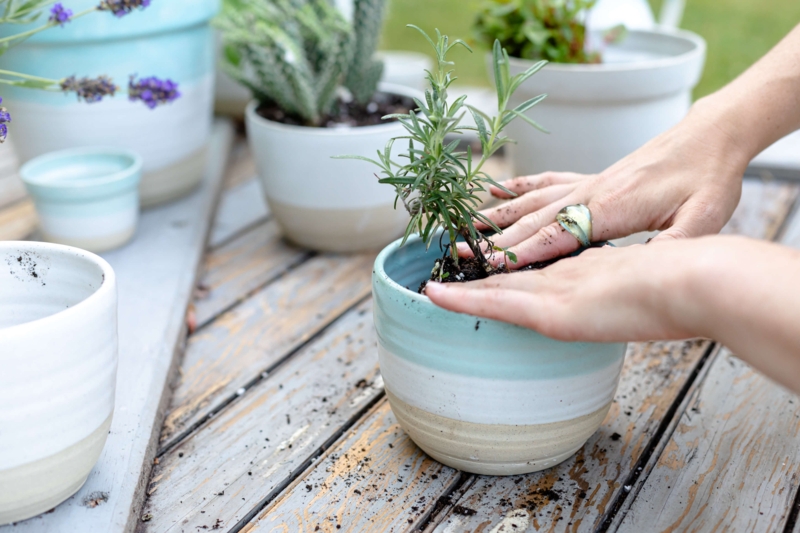 Planter Small Two-Tone Finish Grainy Texture Ceramic Pot