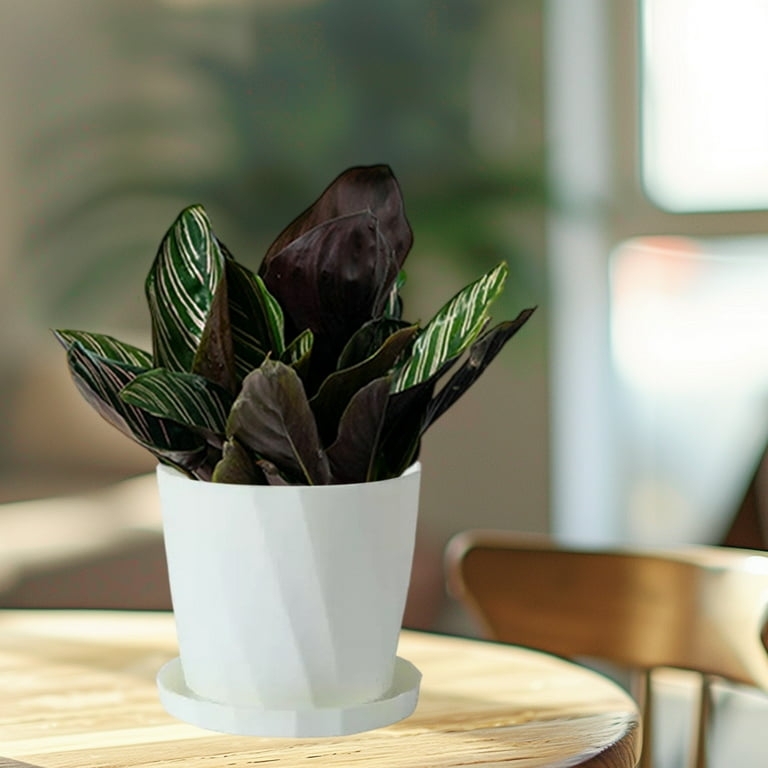 Planter Tapered Silhouette Matte Off-White Resin Matching Saucer