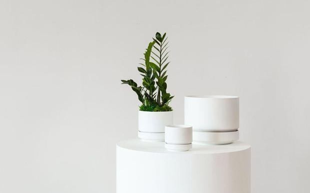 Planter Trio Ceramic Earth Tones Integrated Drip Trays Minimalist