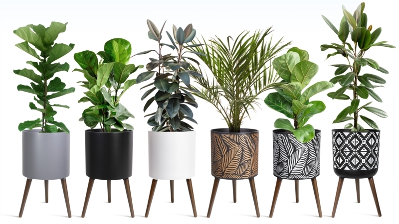 Planter with Wood Cross Base Stand in Bronze Grey Metallic Finish
