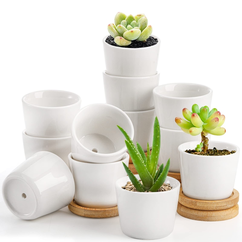 Potted Plant Set Twelve Piece White Ceramic Planters Bamboo Saucers