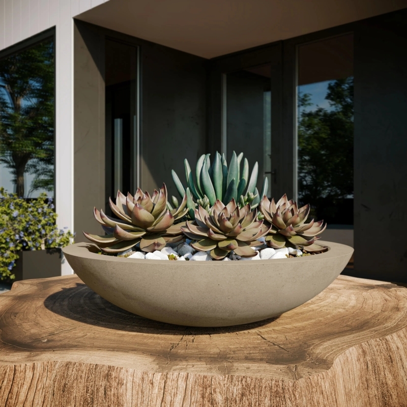 Potted Planter Modern White Concrete Shallow Basin Low Profile Bowl