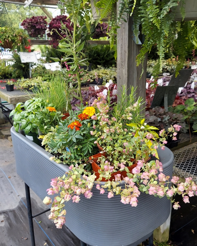 Raised Bed Planter Crescent Shape Textured