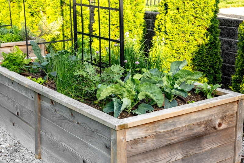 Raised Garden Bed Deep Wooden With Arch Trellis