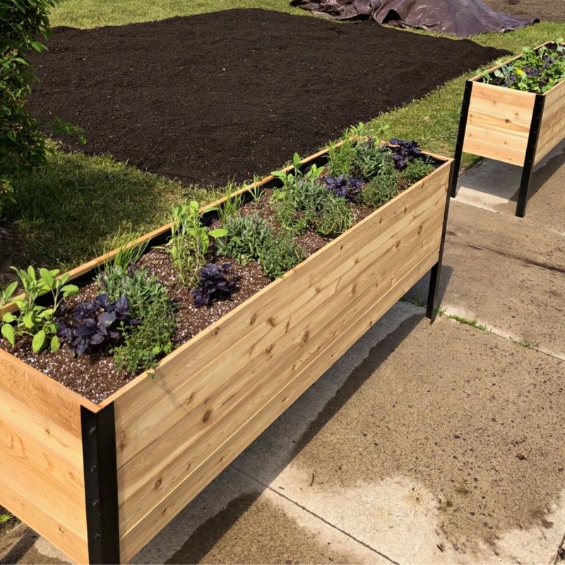 Raised Garden Bed Extra Long Natural Wood