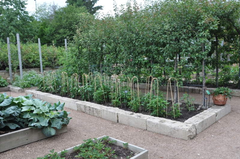 Raised Garden Bed Natural Wood Grouped Arrangement