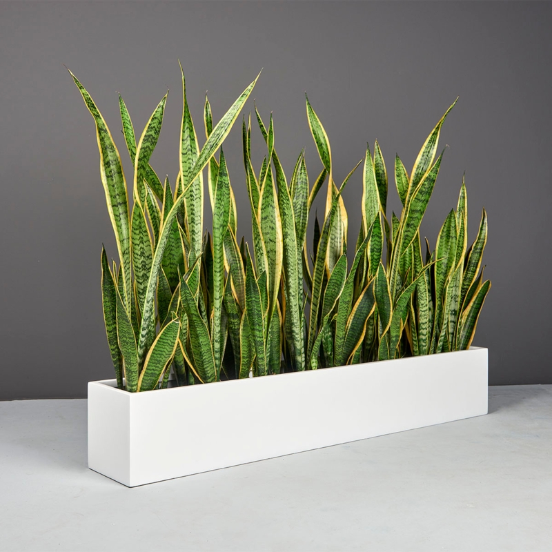 Rectangular Planter Narrow Profile Textured Charcoal Concrete Like
