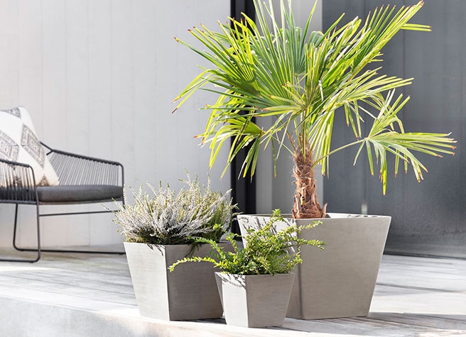Rectangular Trough Planters, Large-Scale Minimalist Matte Black Finish