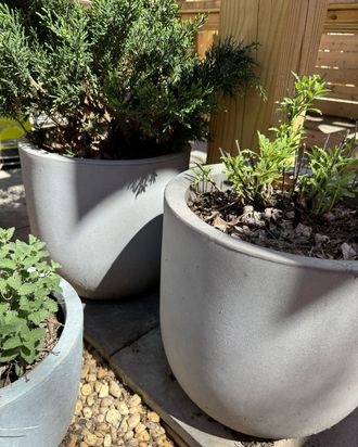 Ribbed Planter, Cylindrical Resin with Matte Charcoal Finish