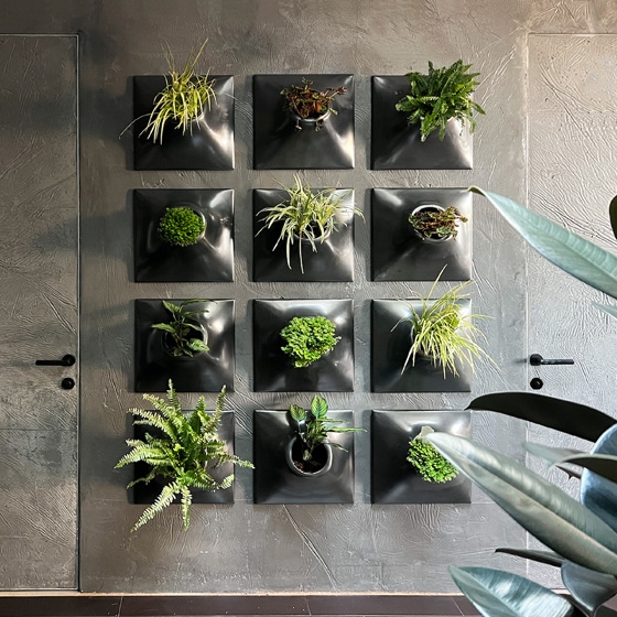 Round Ceramic Wall Planters Matte Earthy Tones Set Indoor Decor