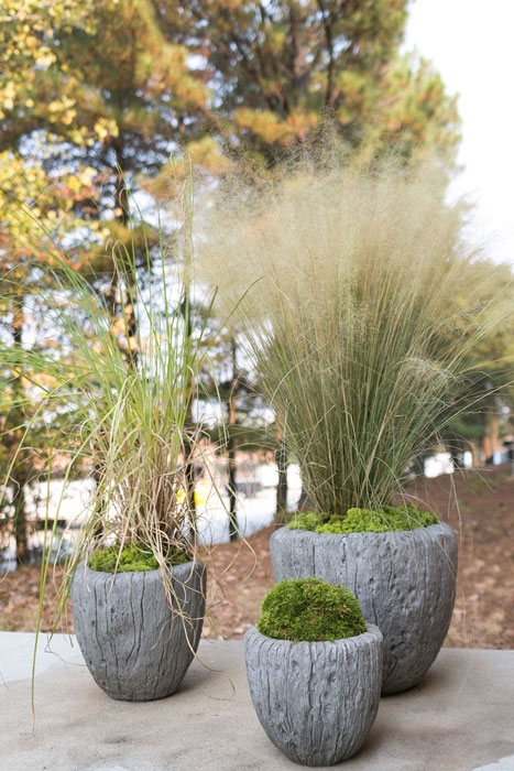 Round Planter, Low Pitted Concrete Minimalist Patio Pot. (65 chars)