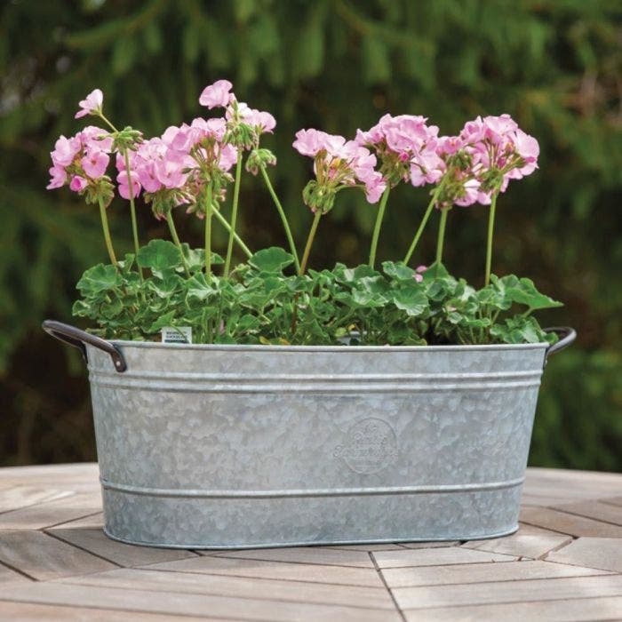 Rustic Metal Washtub Planter with Wood Grips