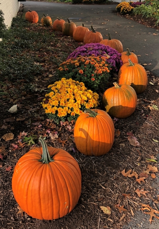 Rustic Porch Vignette featuring Vintage Crates and Mixed Gourds