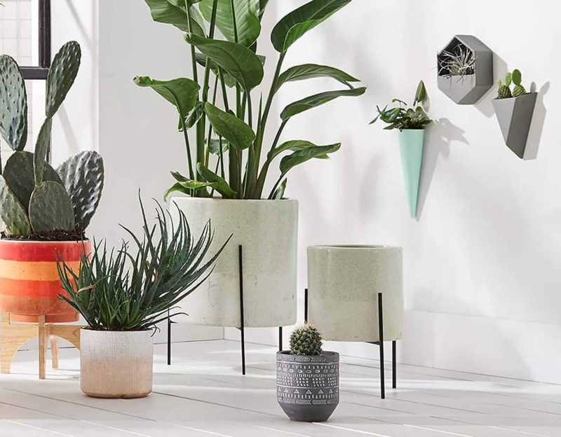 Scandinavian Planter Set with Tapered Stand and Varied Heights
