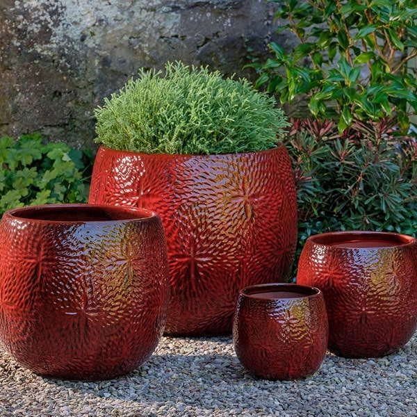 Set of 4 Glossy Ceramic Planters with Sand Dollar Star Motif