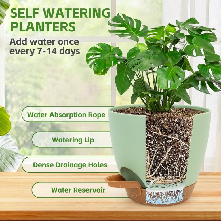 Set of Six White Plastic Self Watering Indoor Planters
