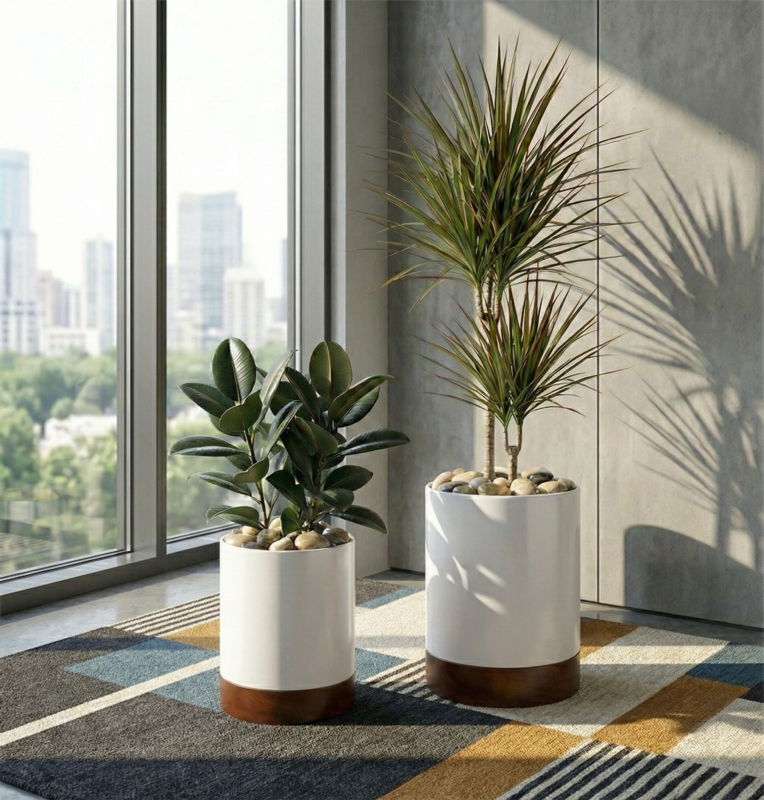 Square Box Planters with Wood Base for Modern Office