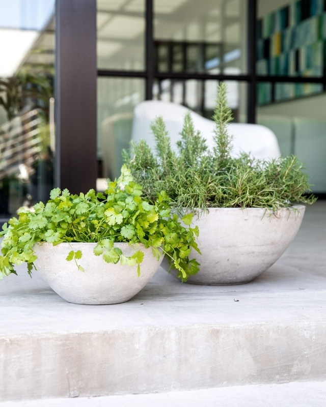 Square Planter with Stone-Like Texture, Modern Succulent Pot