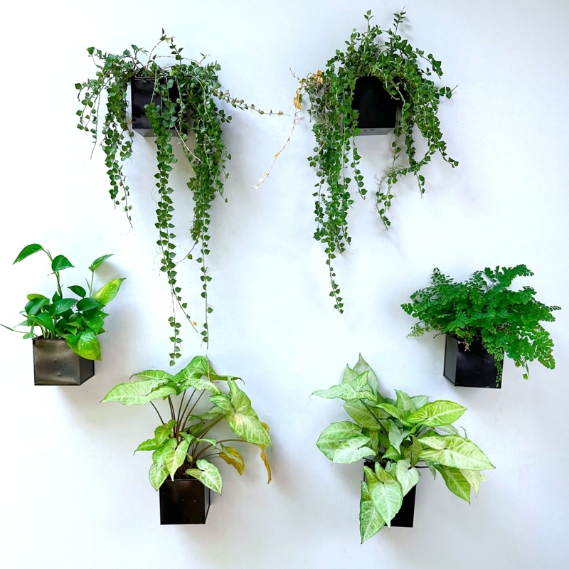 Square Wall Planter Set, Matte Finish, Grid Layout, Set of 6