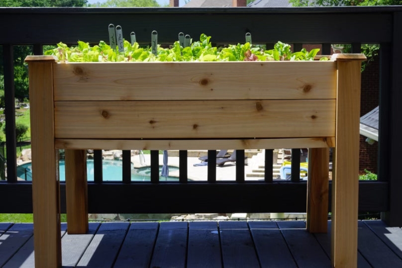 Standing Raised Garden Bed Cedar Tone with Decorative Corner Caps