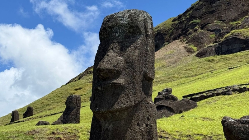 Statue Group in Expansive Open Field with Rustic Weathered Stone