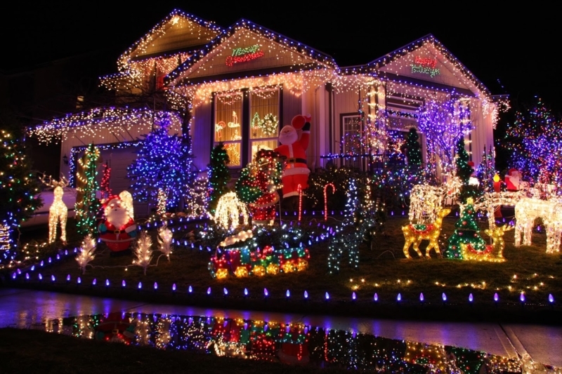 String Lights Warm Amber Dense Light Wrap Magical Garden Display