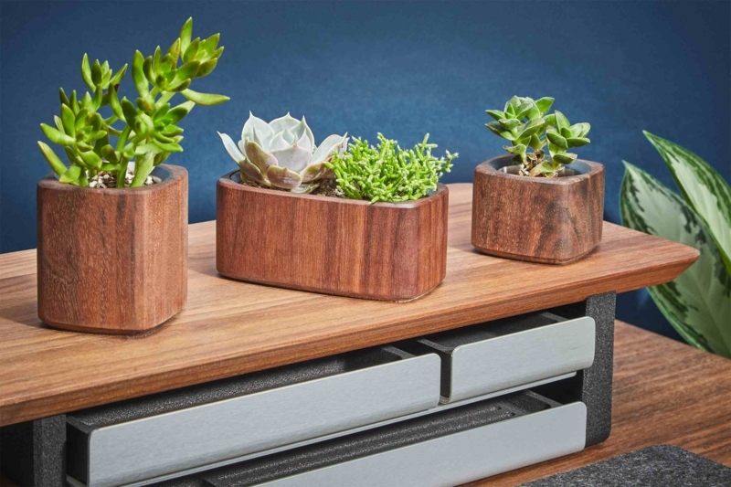 Succulent Planter Minimalist Square Natural Wood Grain Office Decor