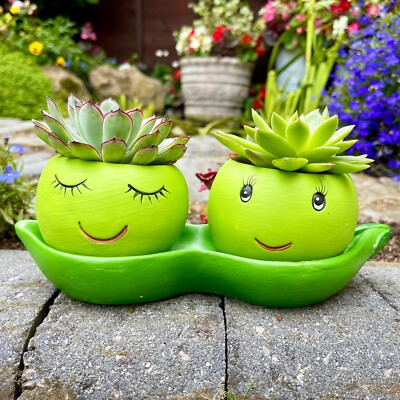 Succulent Planter, Pea Pod Shape in Sage Green Finish, Novelty Design